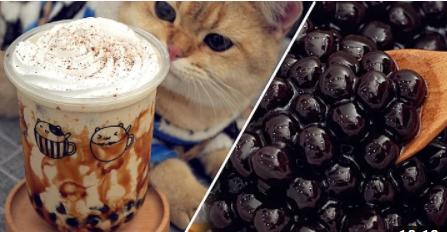 Bubble Tea Or Tea